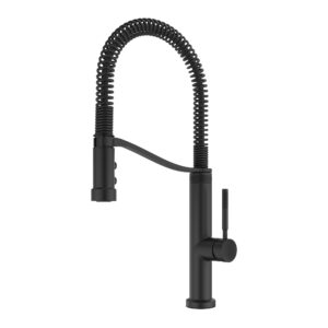 Bruton Matte Black Kitchen Faucet